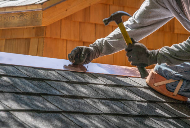 Best Asphalt Shingle Roofing  in Villas, FL