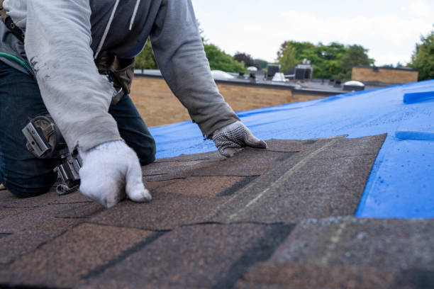 Best Roof Ventilation Installation  in Villas, FL